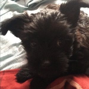 Meet your Posher, Katelynn